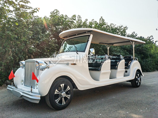 電動麻豆成人入口,安全使用電池,電動麻豆成人入口生產廠家